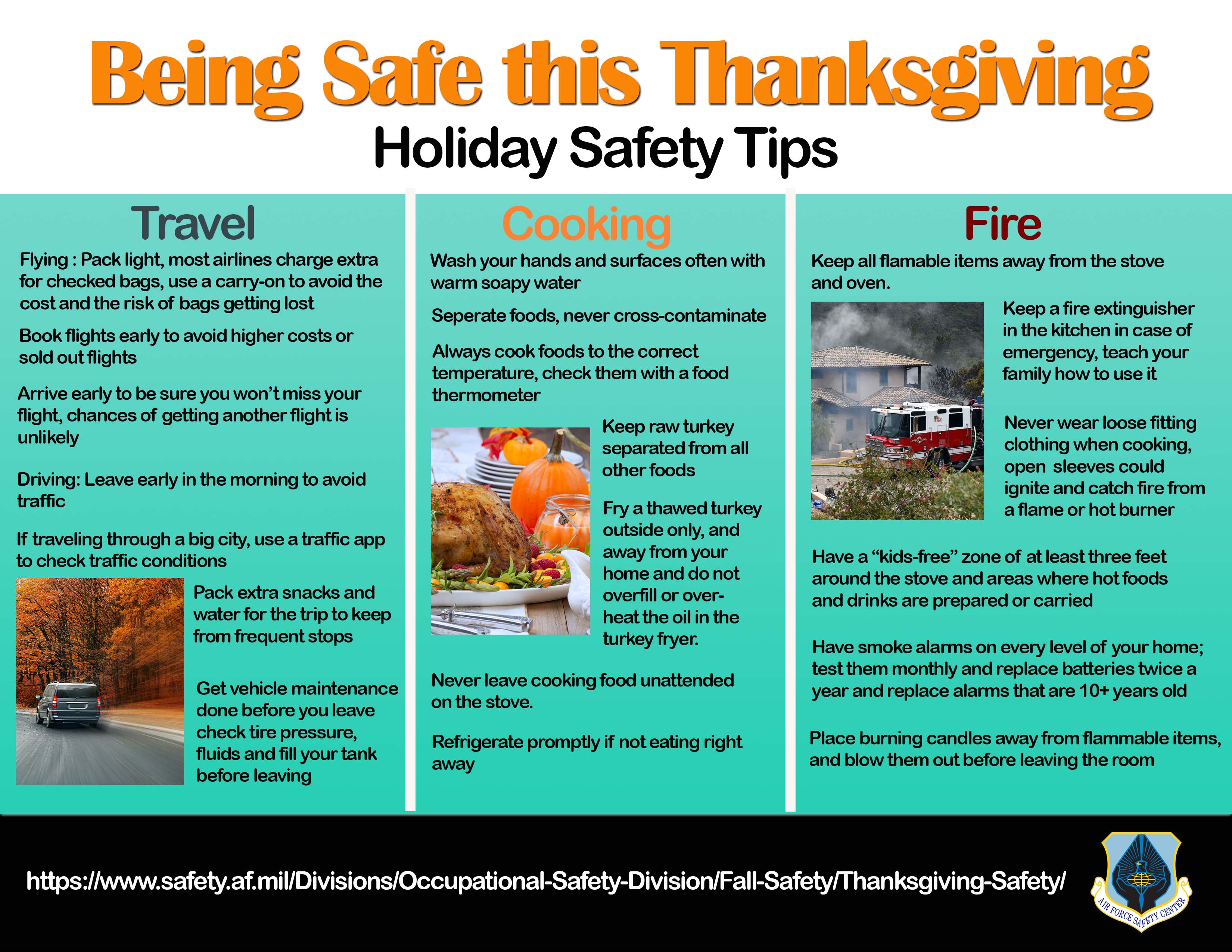 Thanksgiving Safety Tips Poster